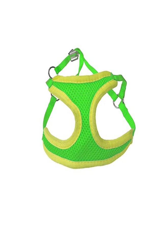 Pups&Pets سترة صدرية مبطنة ناعمة ومريحة من Pups&Pets مستوردة للكلاب الصغيرة والقطط والأرانب والجراء - أخضر - Image 2